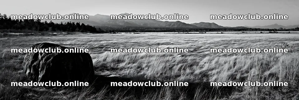 Nagano drought resilient meadow granite boulder in a wide field – meadow photos 13690x4602
