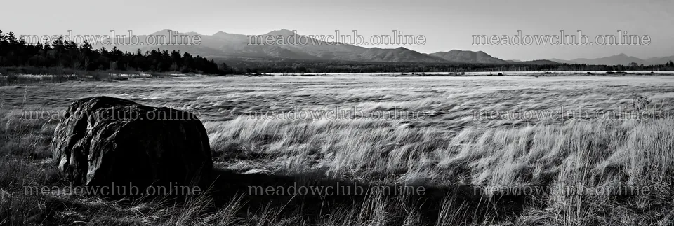 Nagano drought resilient meadow granite boulder in a wide field – meadow photos 13690x4602