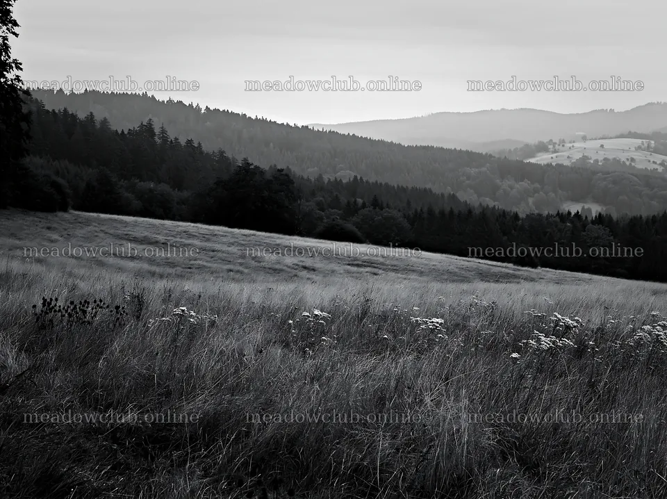 German foothill meadow with trees and hills in the background – meadow photos 9174x6866