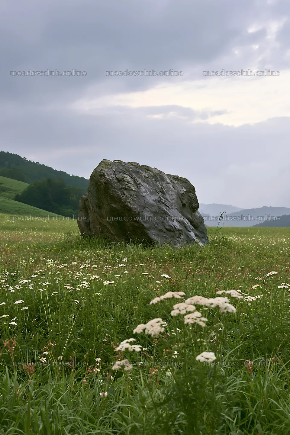 Granite boulder in a drought resilient meadow in Nagano – meadow photos 6480x9722