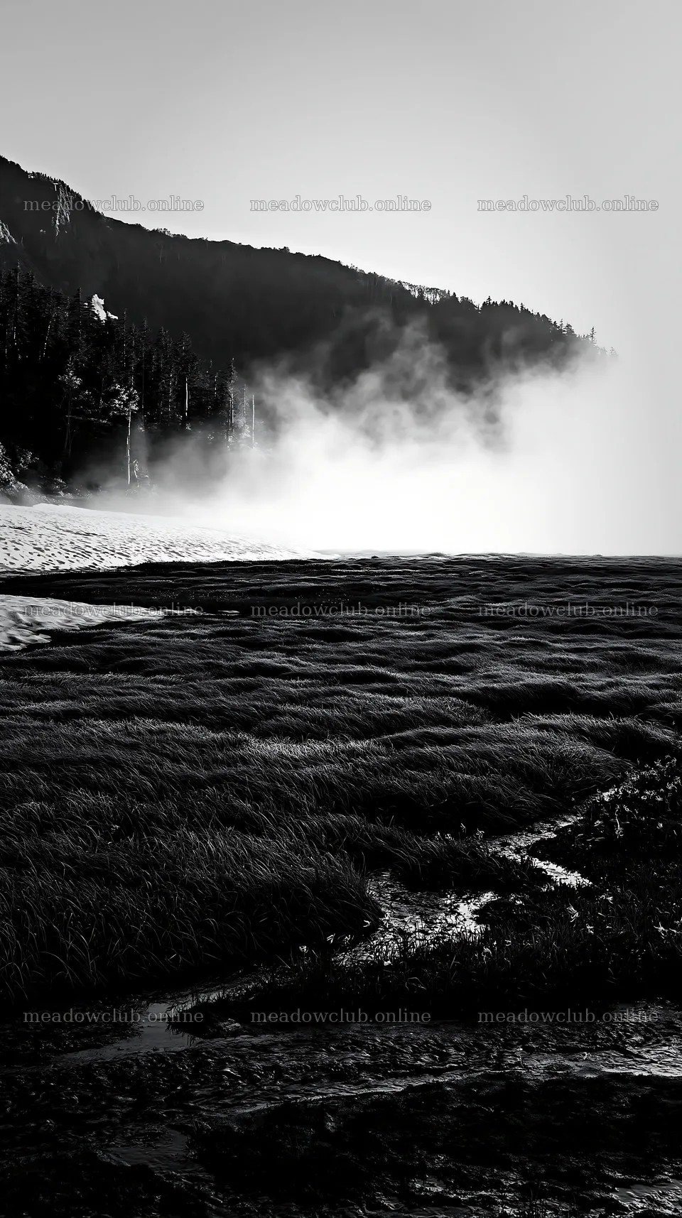 Akita snowmelt meadow with silver grasses on a clear morning – meadow photos 5938x10608