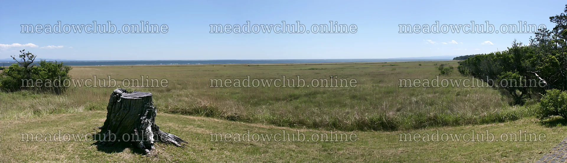 Fukushima native meadow with weathered stump and distant view – meadow photos 14762x4268