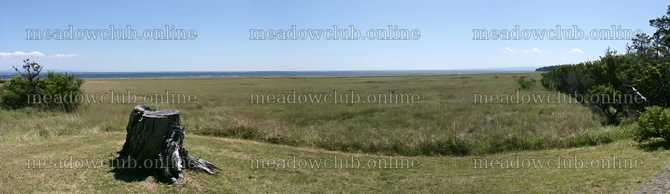 Fukushima native meadow with weathered stump and distant view – meadow photos 14762x4268