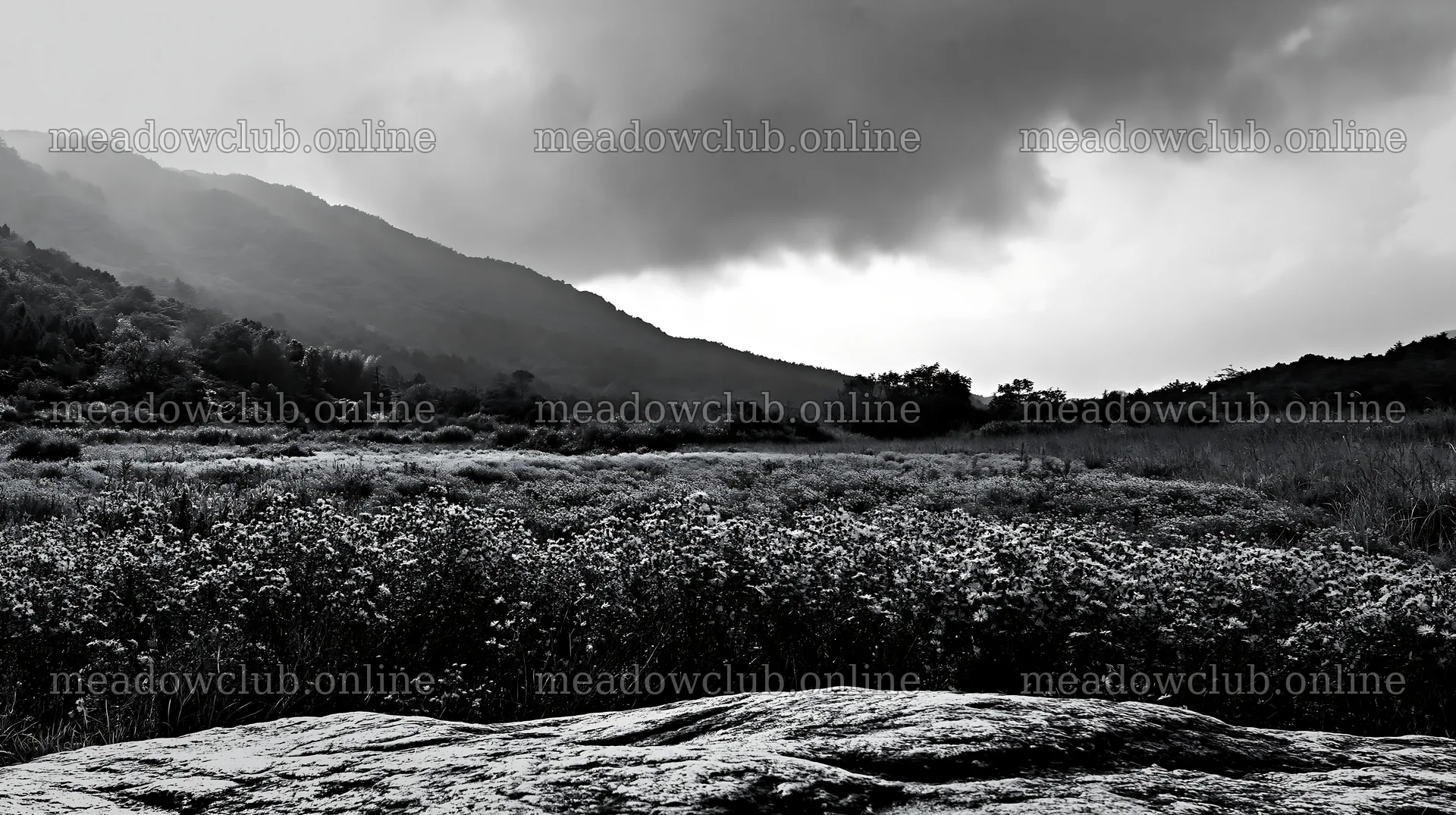 Hiroshima rainy meadow smooth rock foreground – meadow photos 10608x5938