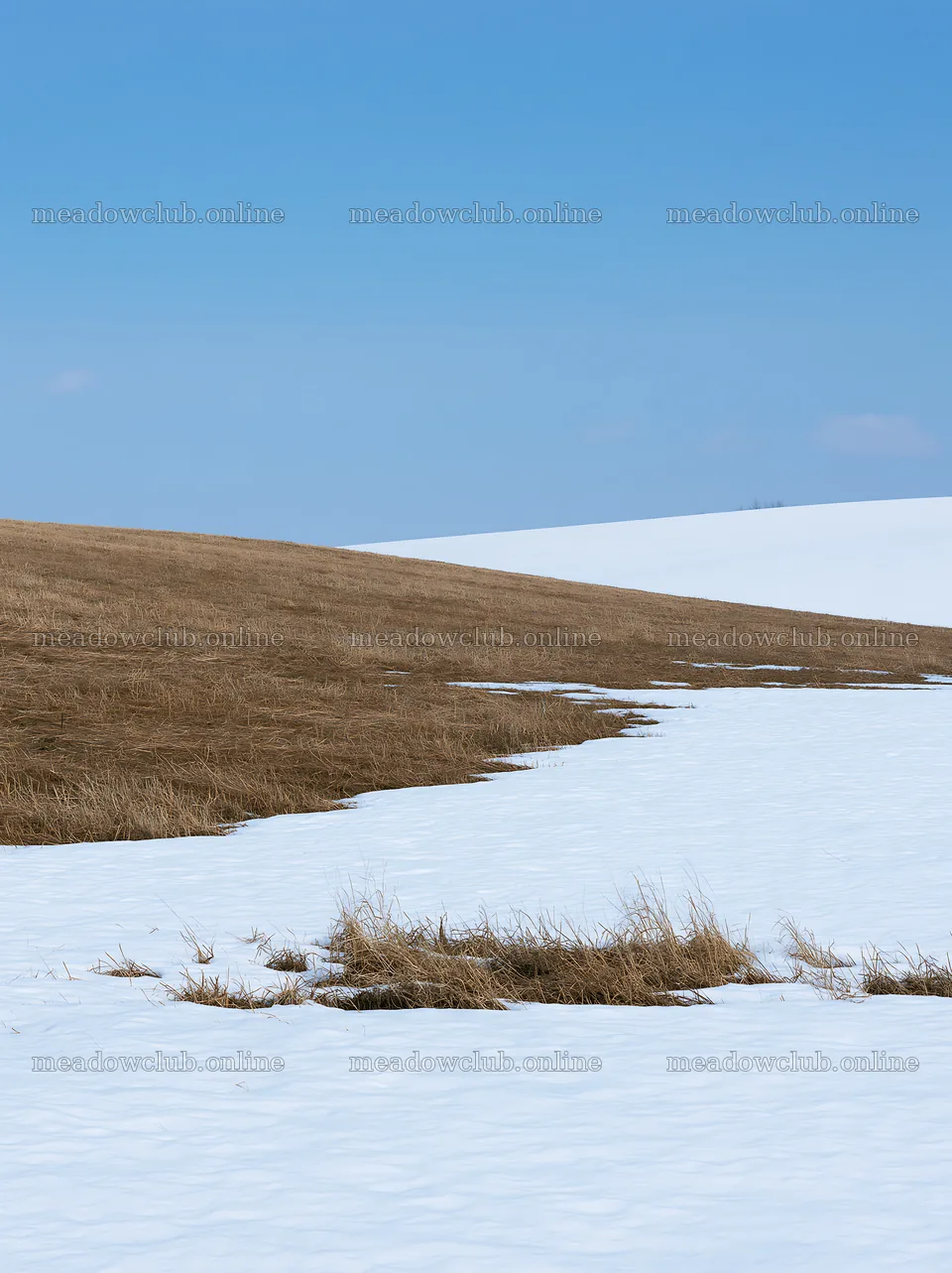Snow covered Biei hills meadow under clear sky – meadow photos 6866x9174