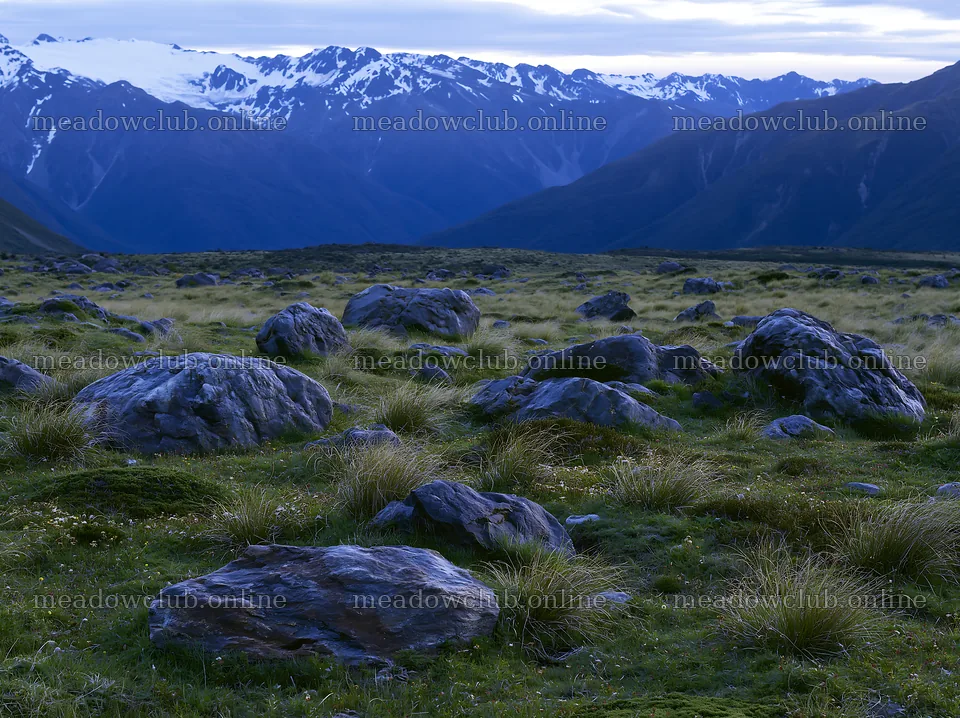 Meadow with boulders and snow-capped mountains in the distance – meadow photos 9174x6866