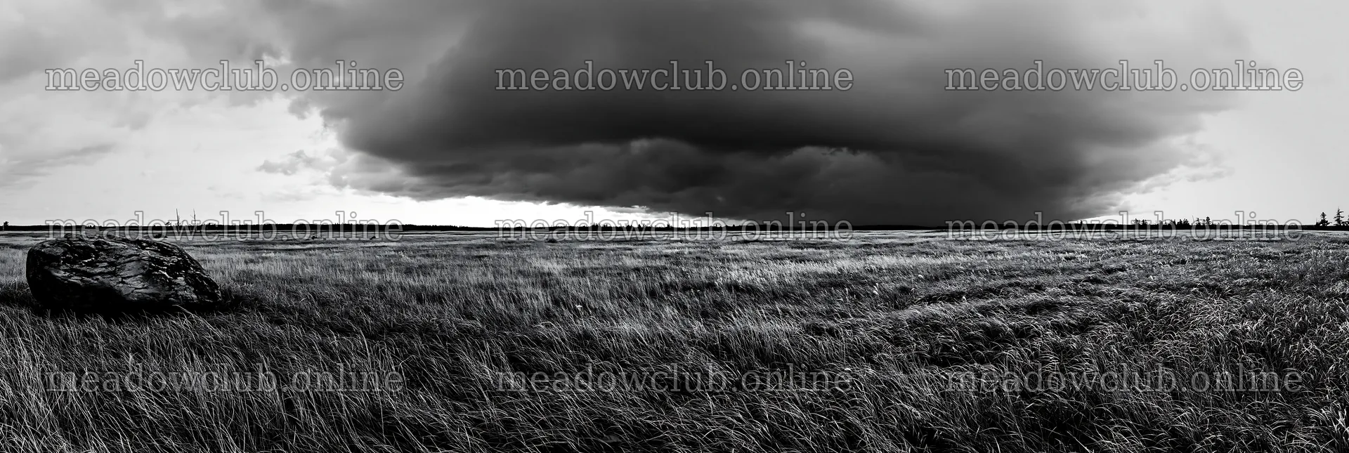 Aomori climate resilient meadow with boulder and dark clouds – meadow photos 13690x4602