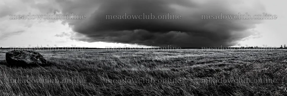 Aomori climate resilient meadow with boulder and dark clouds – meadow photos 13690x4602