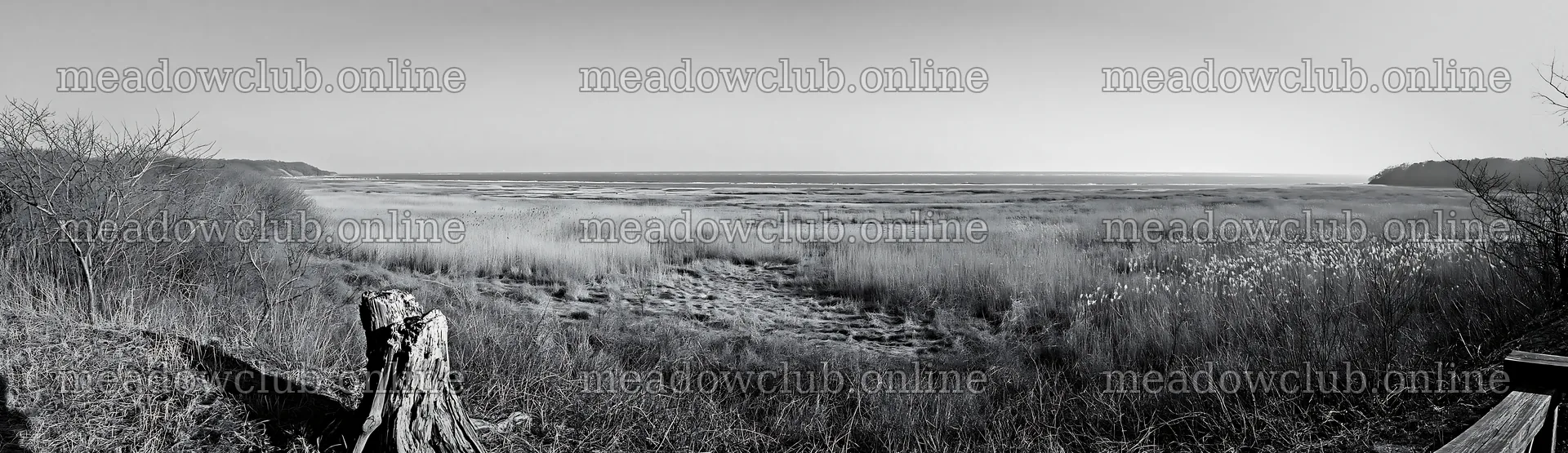 Fukushima native meadow with weathered stump – meadow photos 14762x4268