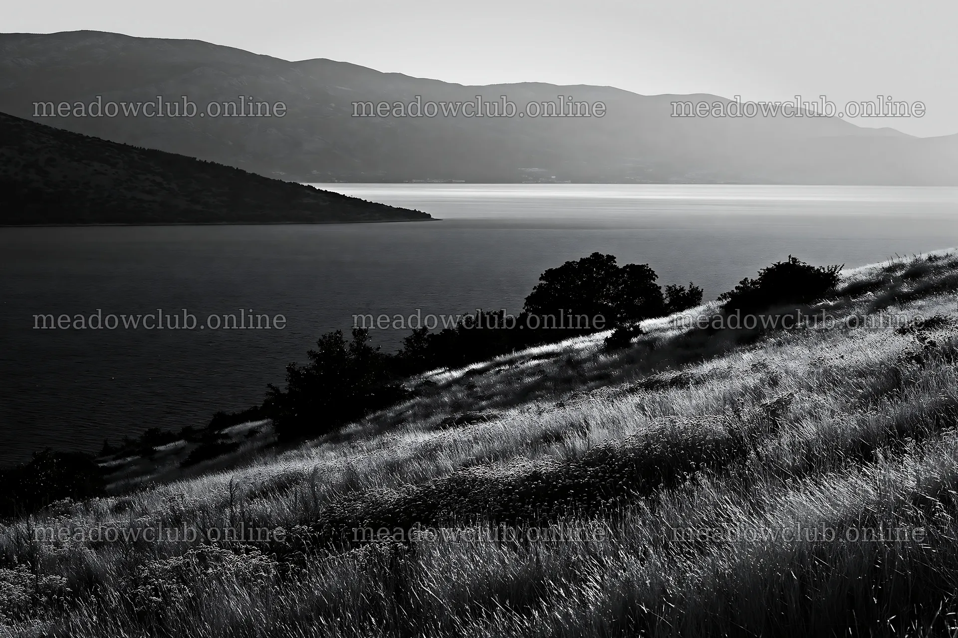 Croatian meadow above Adriatic coast at dusk – meadow photos 9722x6480