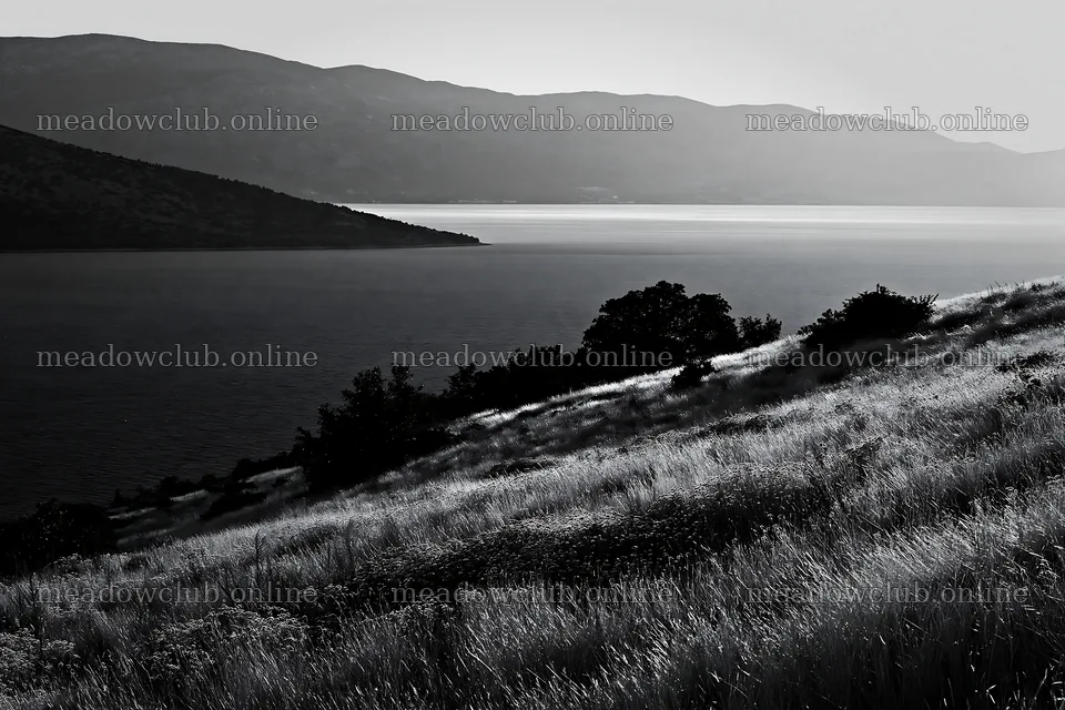 Croatian meadow above Adriatic coast at dusk – meadow photos 9722x6480