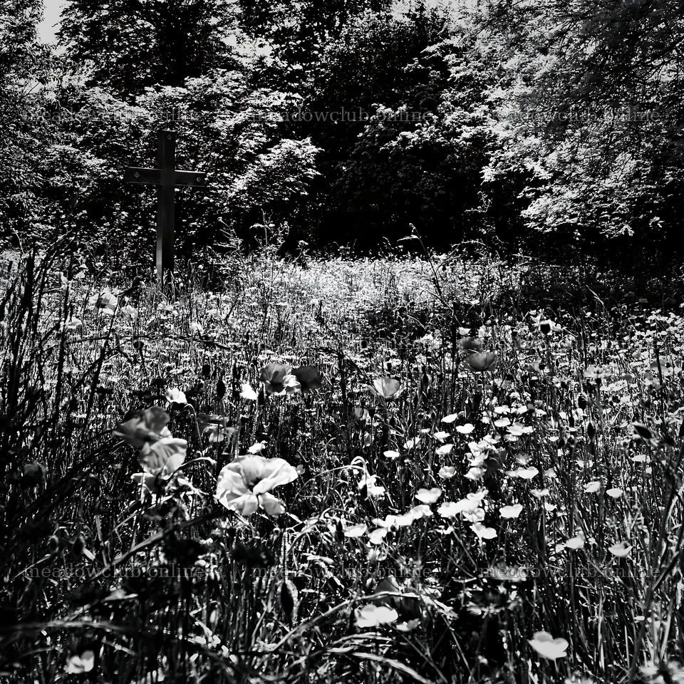 Christian cross beside mineral spring meadow – meadow photos 7938x7938