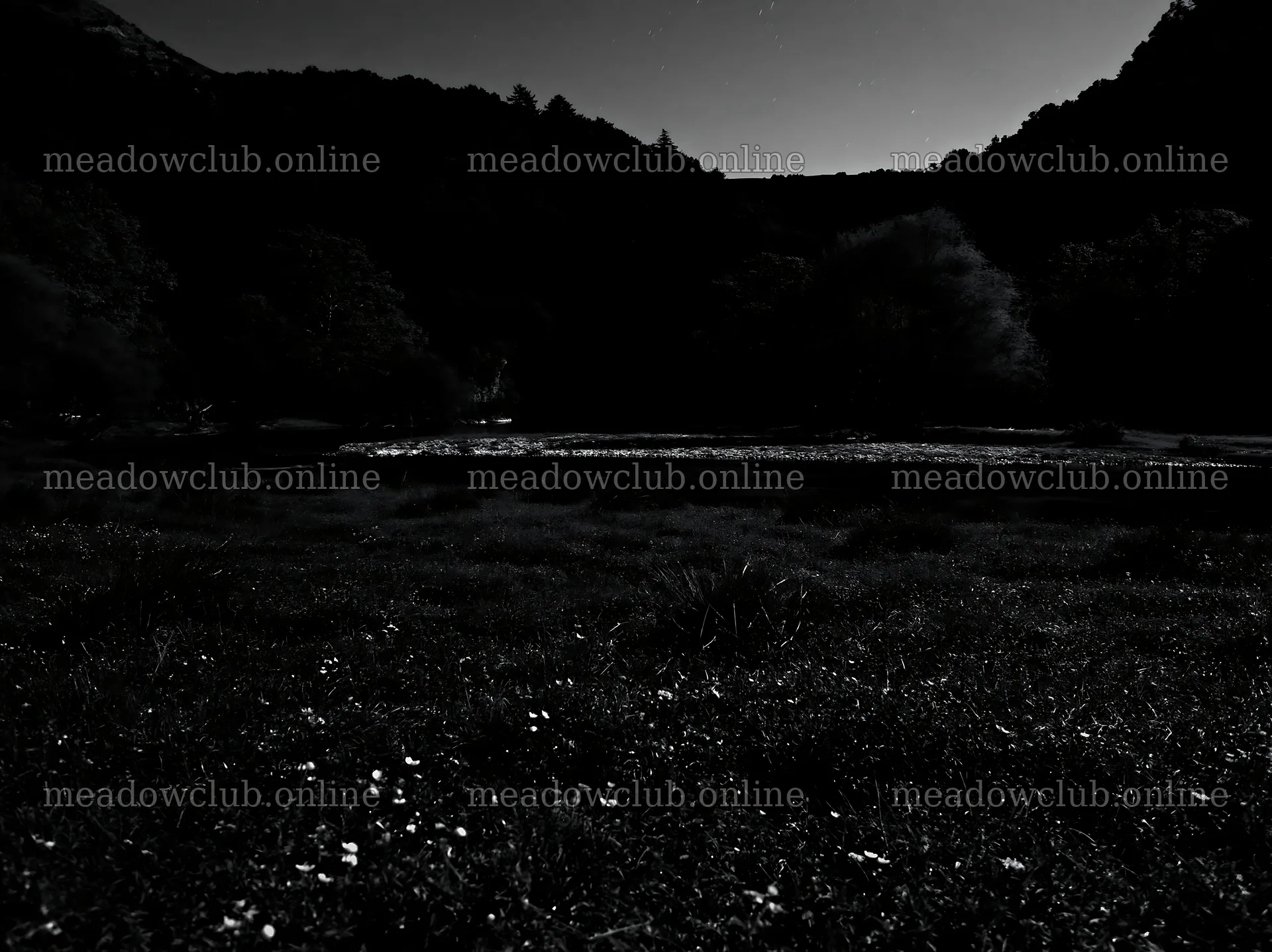Moonlit meadow under a night sky with dark trees – meadow photos 9174x6866