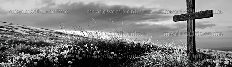 Rustic Christian cross stands in winter meadow – meadow photos 14762x4268