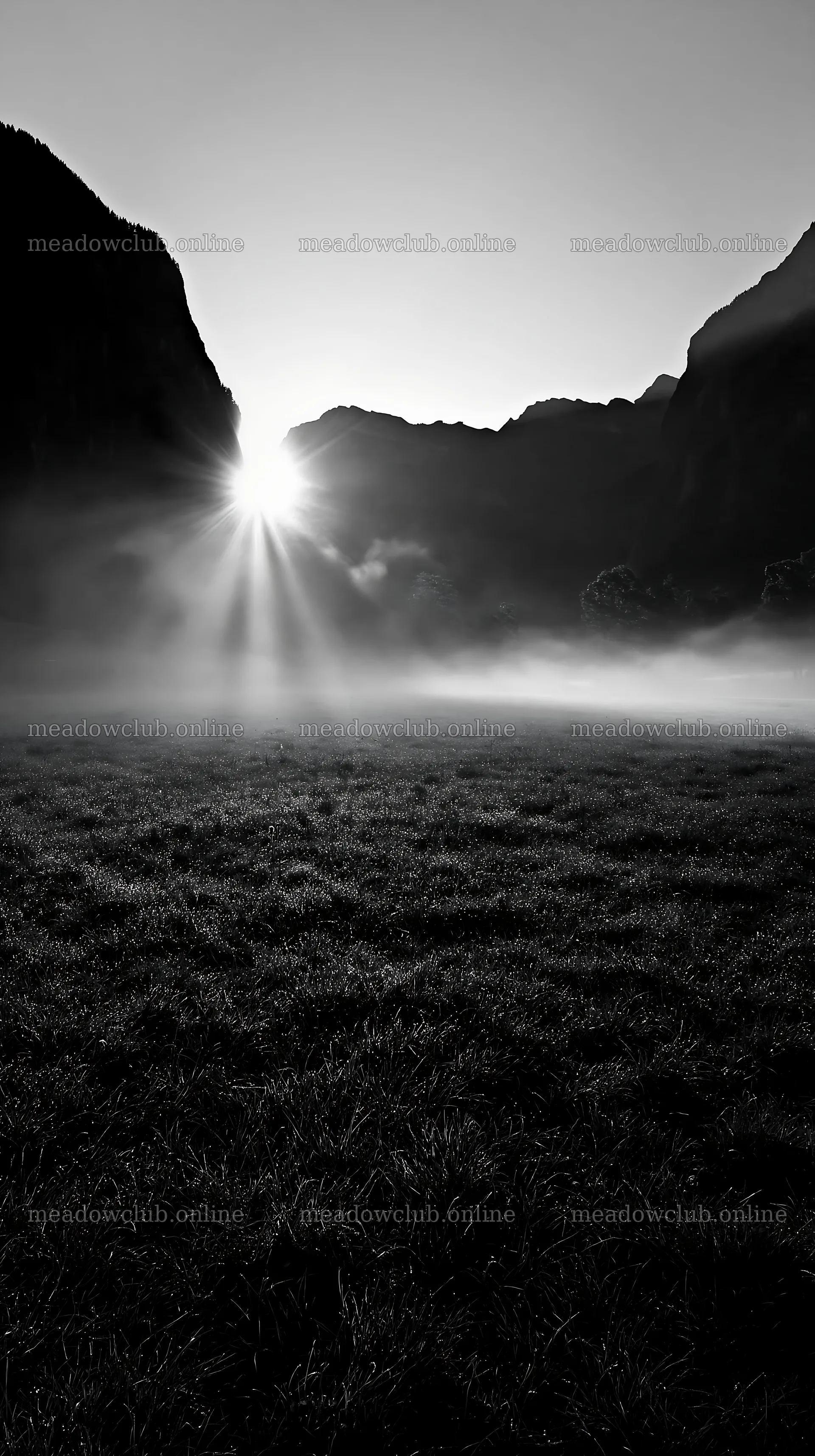 Light rays in Lauterbrunnen Valley meadow during morning hours – meadow photos 5938x10608