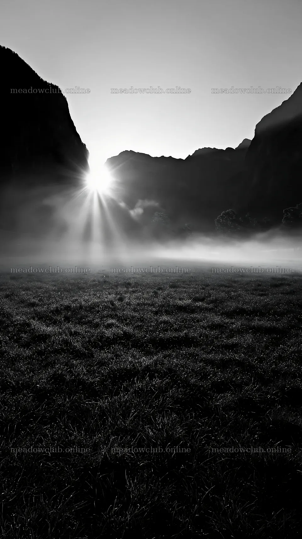 Light rays in Lauterbrunnen Valley meadow during morning hours – meadow photos 5938x10608