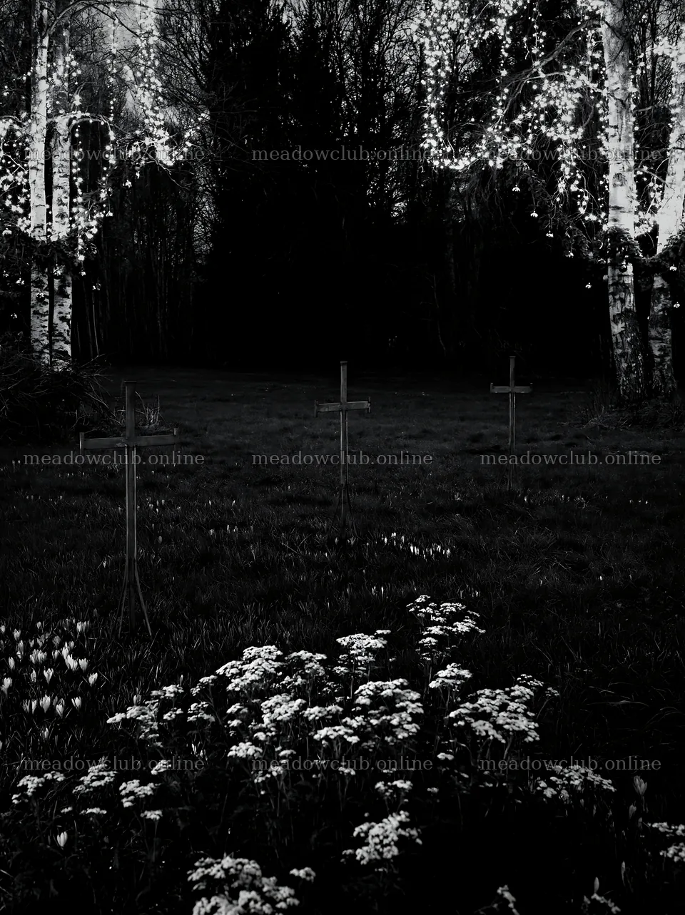 Three iron crosses in Advent meadow during dusk – meadow photos 6866x9174