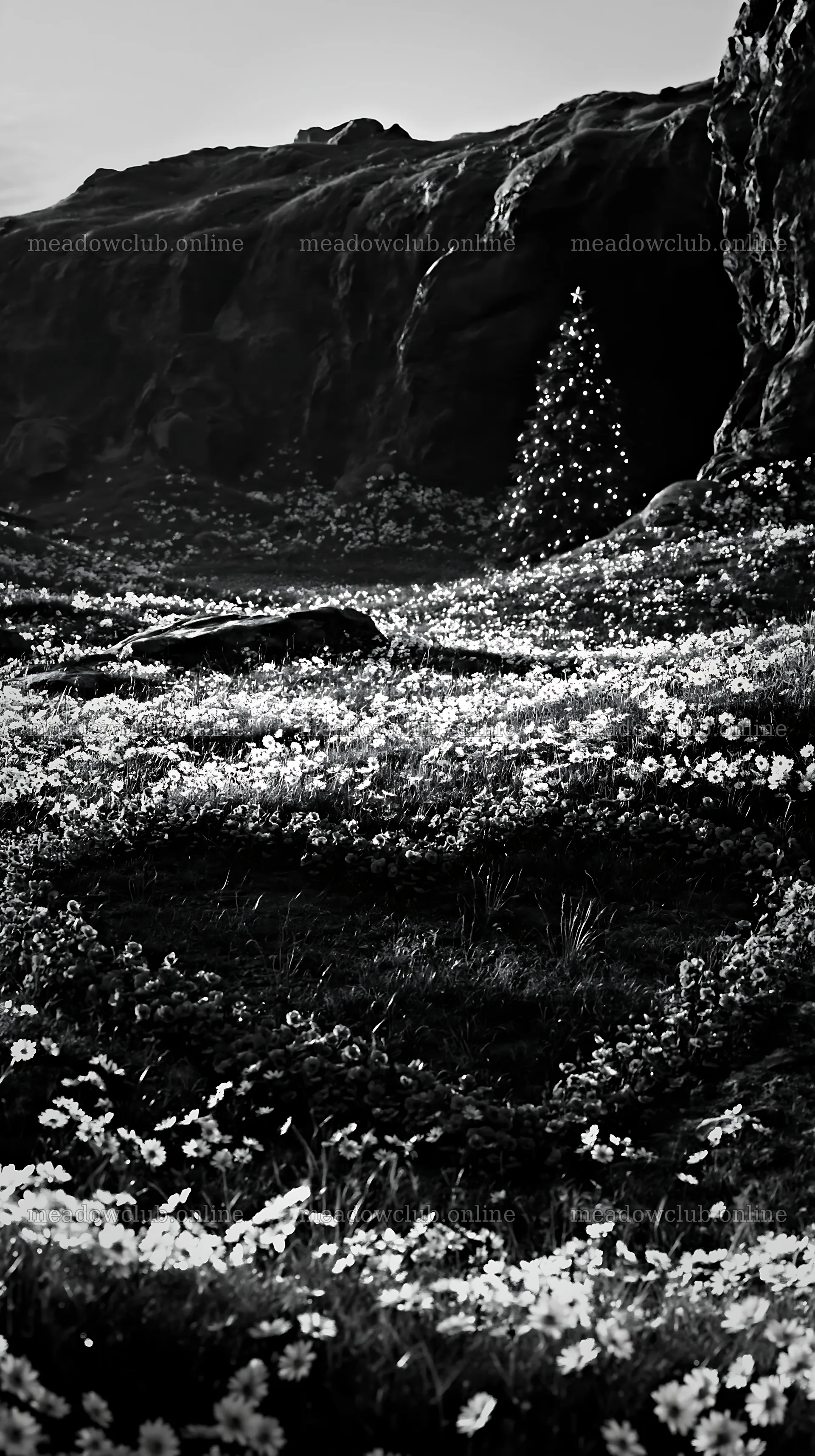 Christmas tree beside cave in meadow with flowers – meadow photos 5938x10608