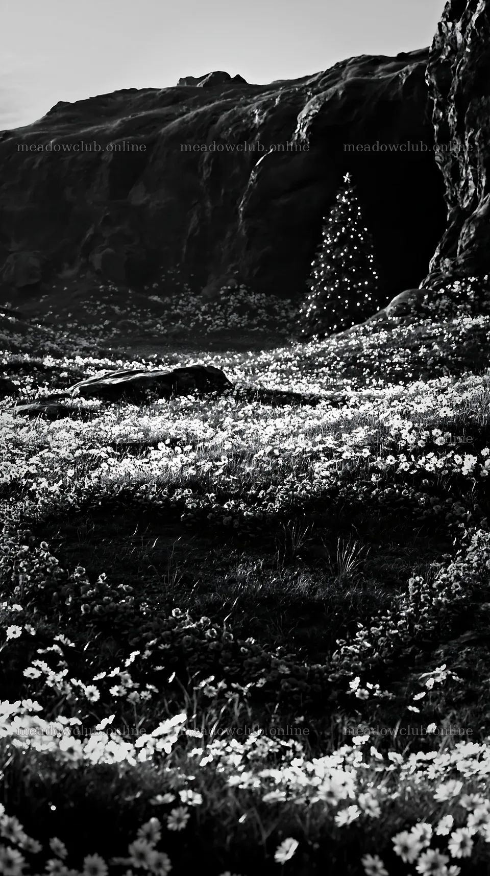 Christmas tree beside cave in meadow with flowers – meadow photos 5938x10608