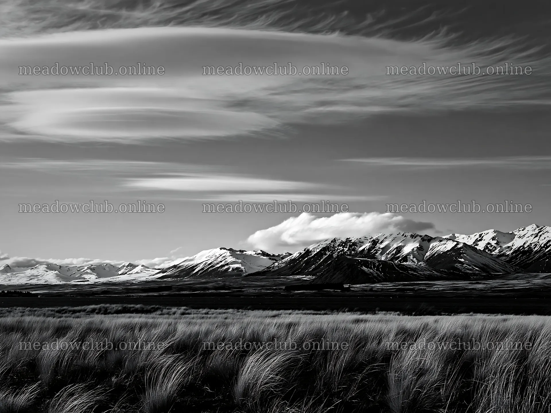 Snowy alps and meadow at Lake Tekapo in black and white – meadow photos 9174x6866