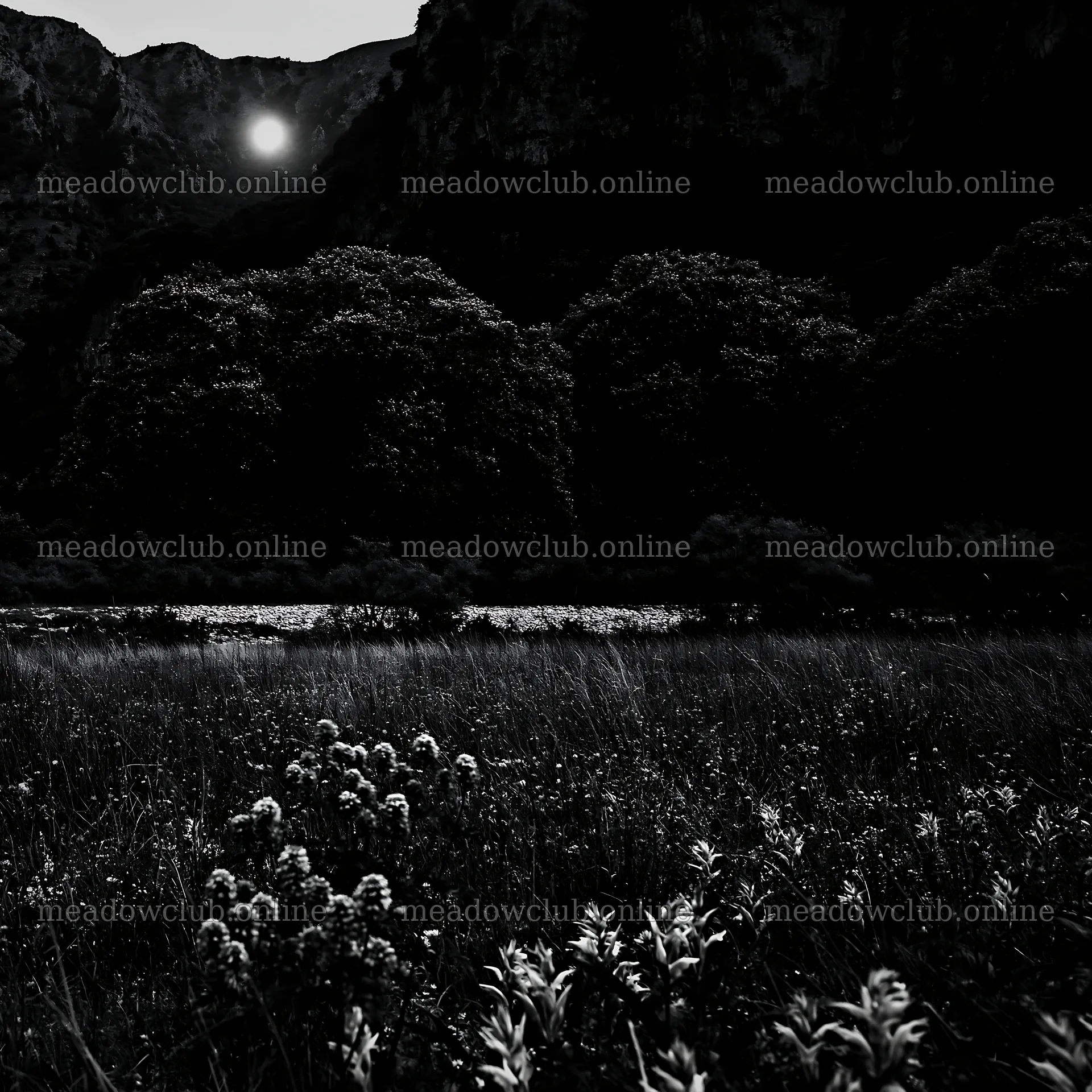 Moonlit meadow under a mountain with dark trees – meadow photos 7938x7938