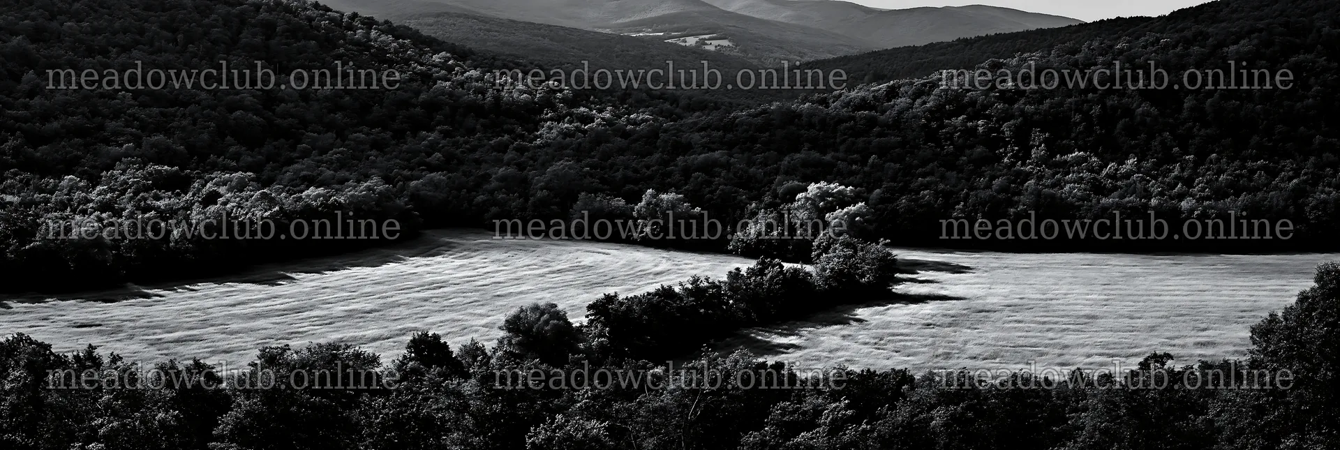 Hungarian meadow along wooded valley in black and white – meadow photos 13690x4602