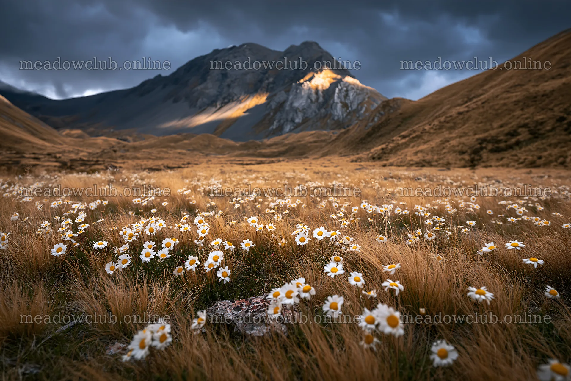 Meadow with flowers under mountain crags during sunset – meadow photos 9722x6480