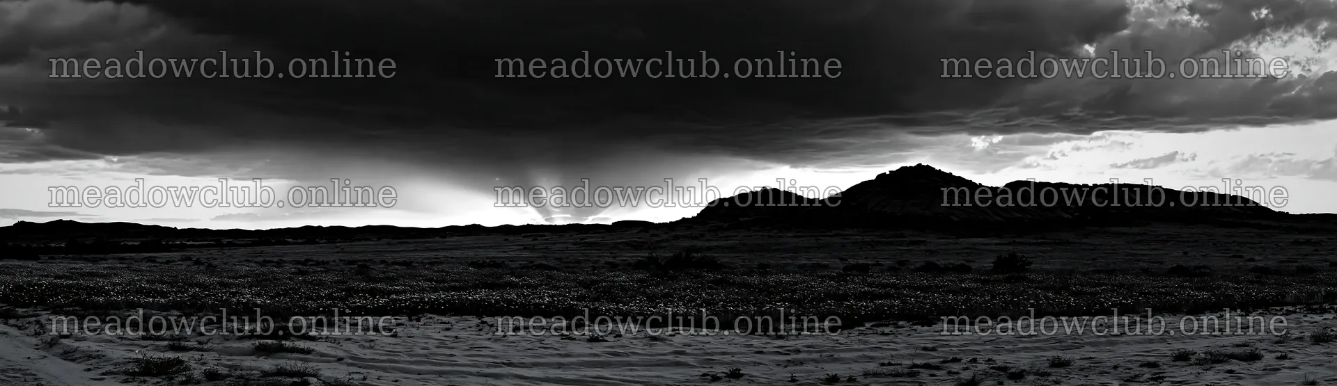 Crepuscular rays shining over a meadow landscape – meadow photos 14762x4268
