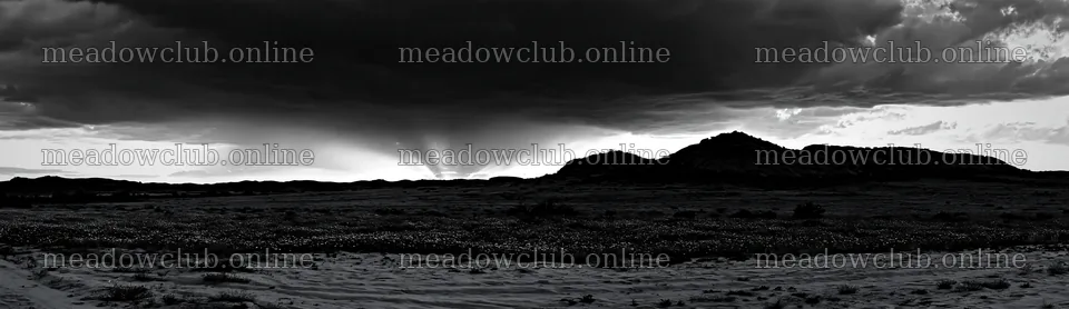 Crepuscular rays shining over a meadow landscape – meadow photos 14762x4268