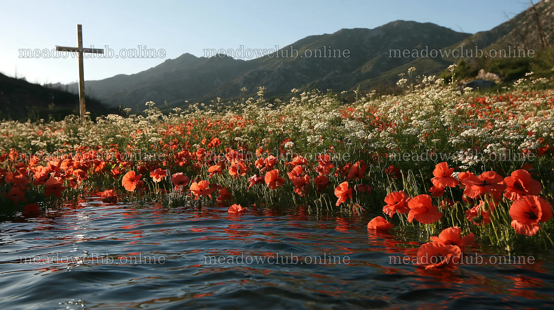 Christian cross beside mineral spring meadow with flowers – meadow photos 10608x5938