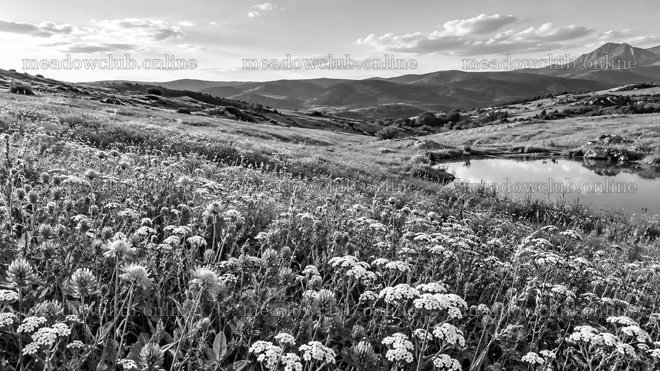 Monochrome Meadow, Pond and Mountain Landscape – meadow photos 10324x5812