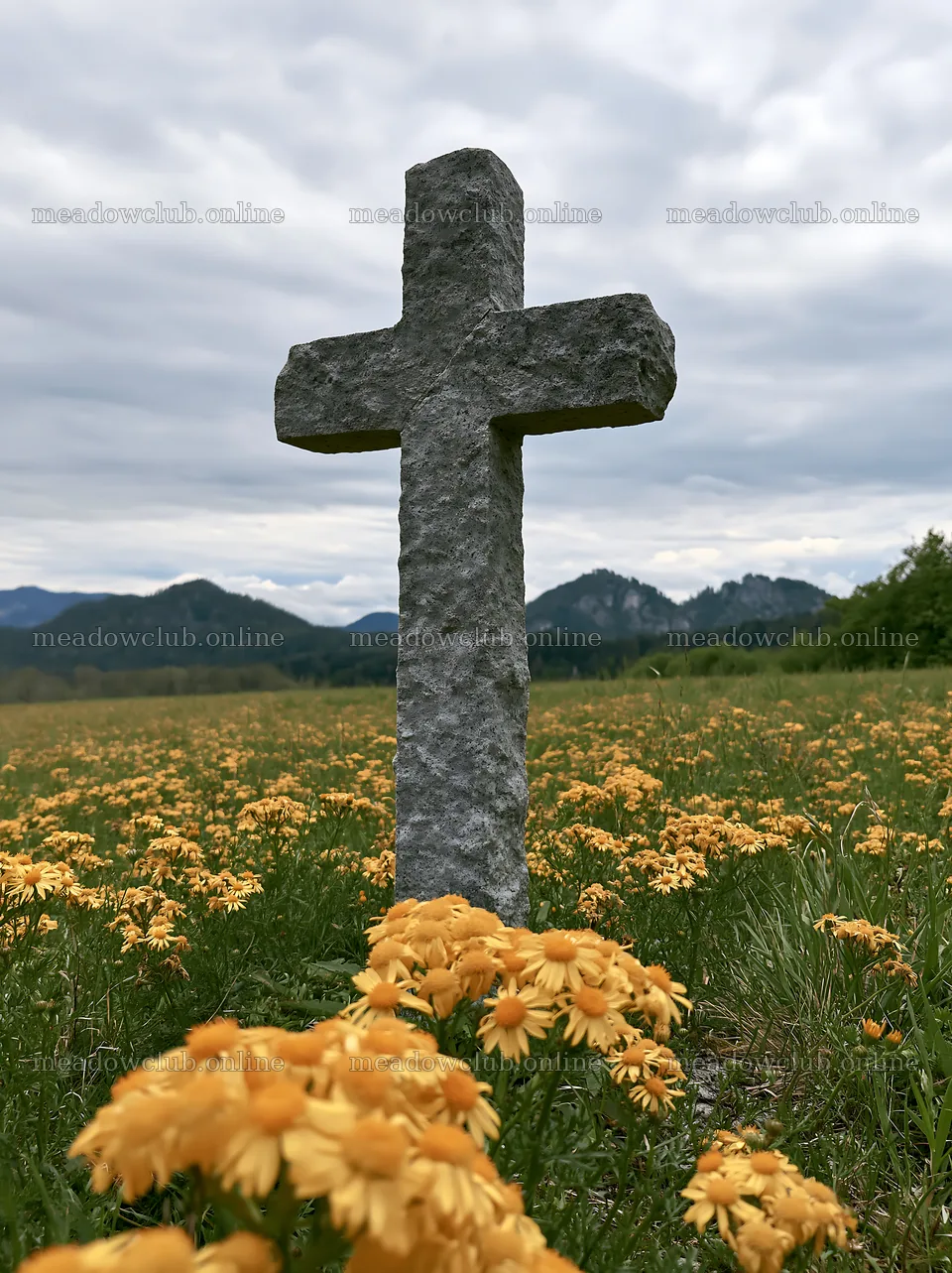 Christian cross in yellow wildflower meadow with mountains behind – meadow photos 6866x9174
