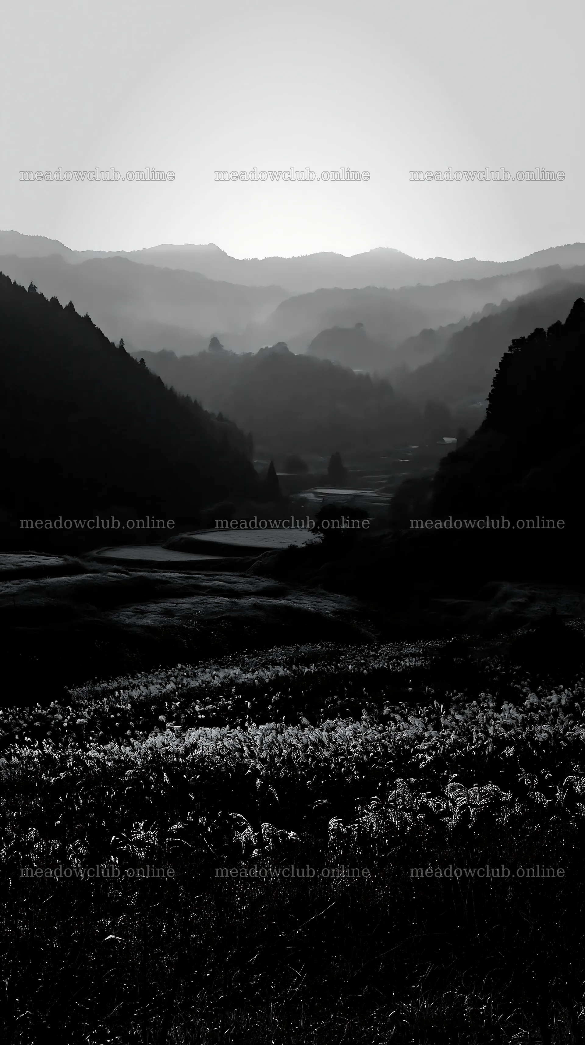 Ehime twilight meadow with dry seedheads – meadow photos 5938x10608