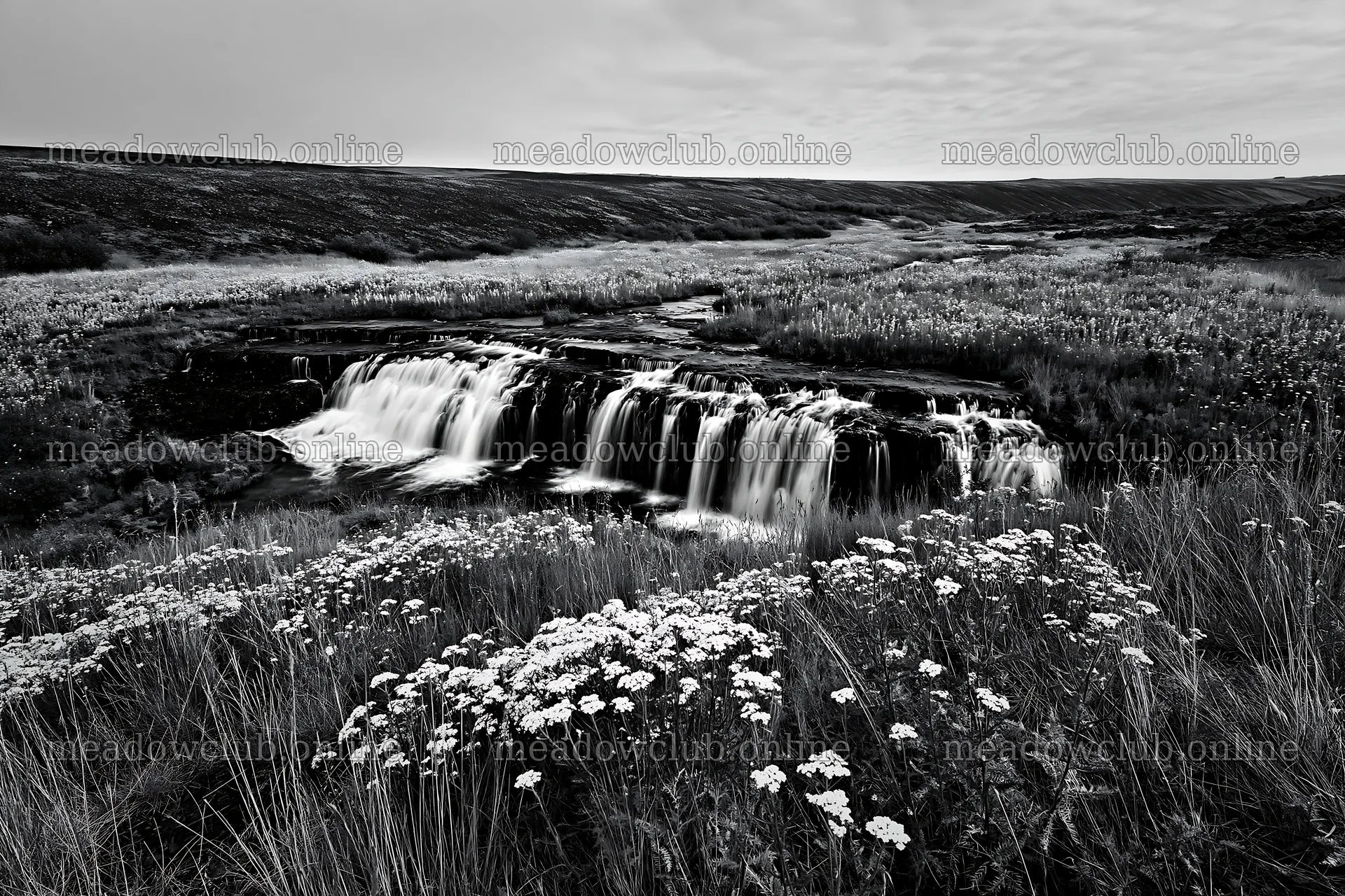Wildflower meadow beside cascade under cloudy sky – meadow photos 9722x6480