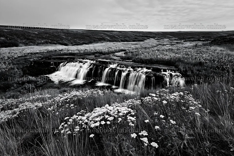 Wildflower meadow beside cascade under cloudy sky – meadow photos 9722x6480