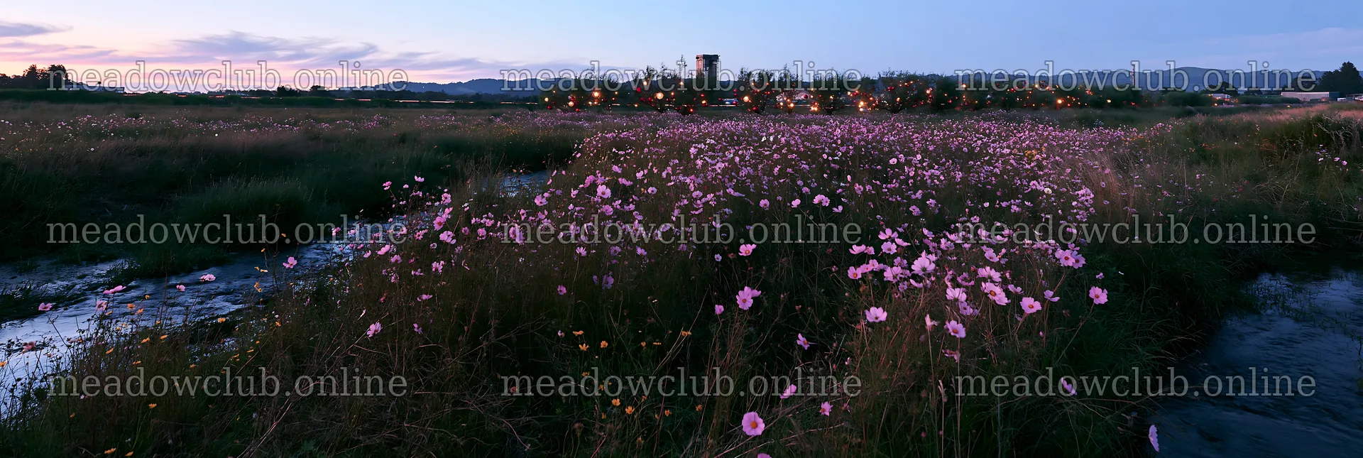 Christmas lights beside stream in meadow at dusk – meadow photos 13690x4602