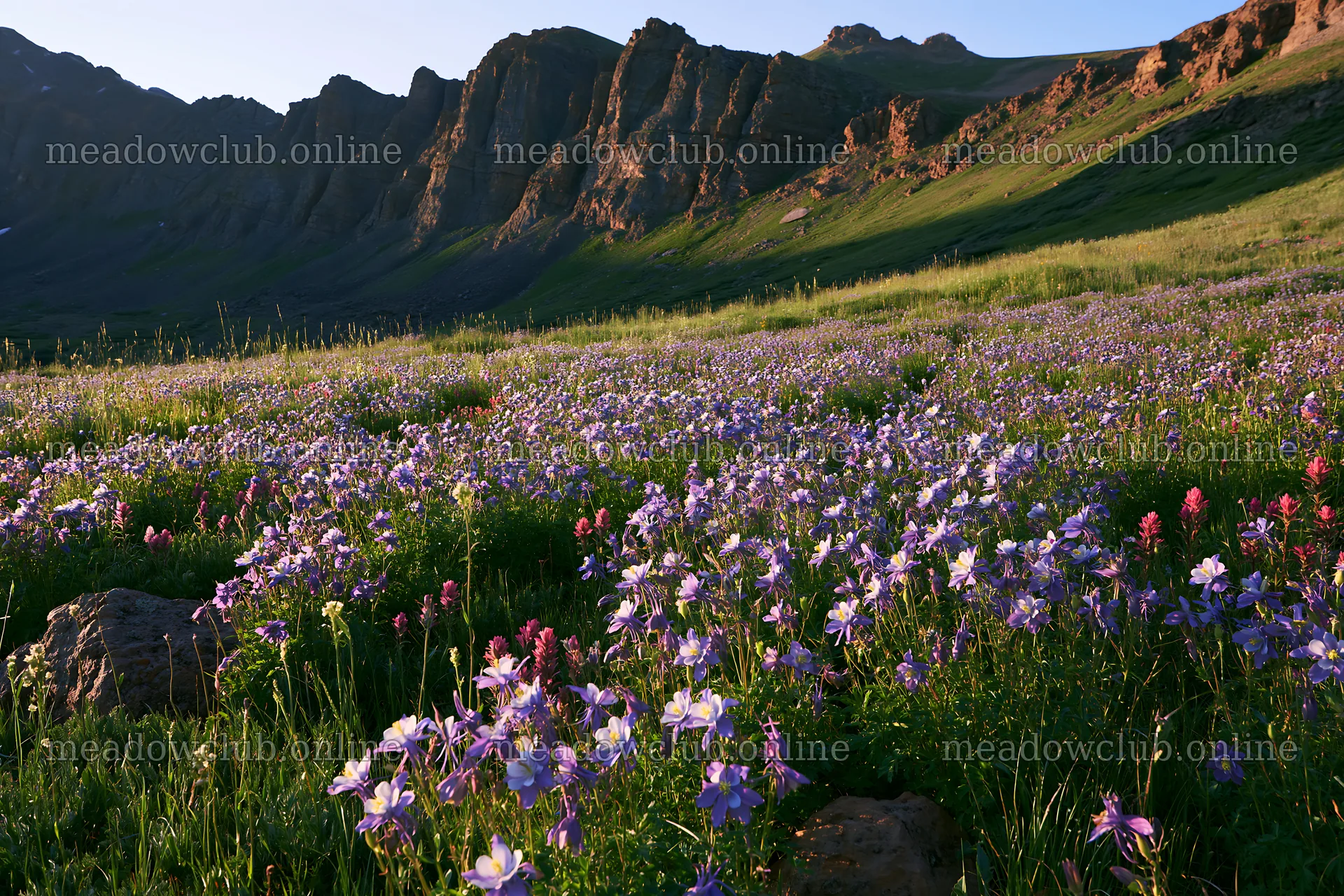 Meadow with flowers beneath rocky crags at sunset – meadow photos 9722x6480