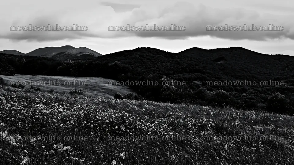 Poppy flax meadow with hills under cloudy sky – meadow photos 10608x5938