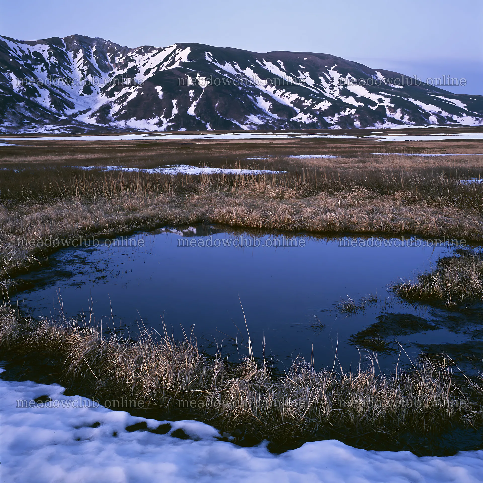 Akita snowmelt meadow with silver grasses during spring – meadow photos 7938x7938