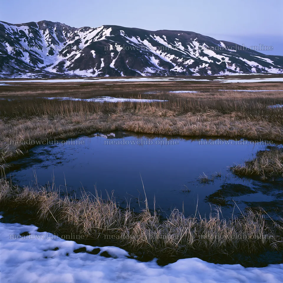 Akita snowmelt meadow with silver grasses during spring – meadow photos 7938x7938