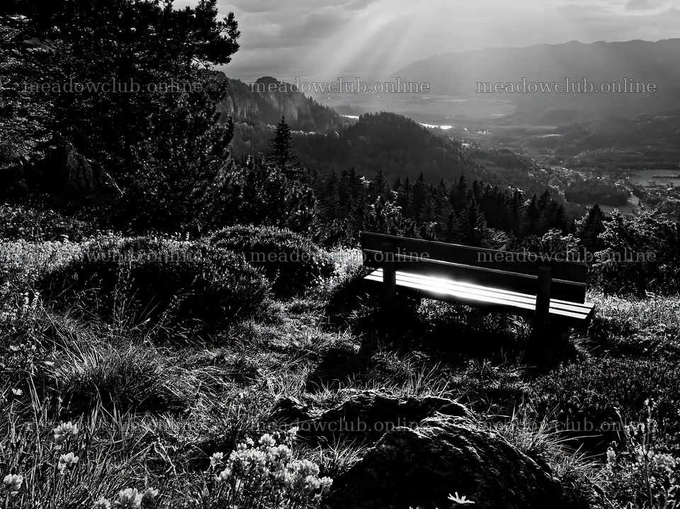 Sainfoin chicory meadow with a view of hills and a bench – meadow photos 9174x6866