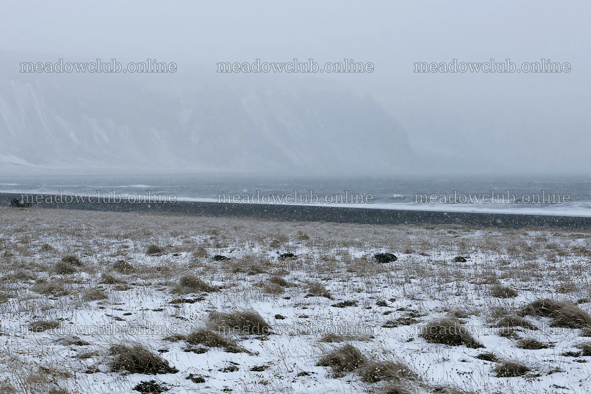 Snowy beach meadow with cliffs near the ocean on a winter day – meadow photos 9722x6480