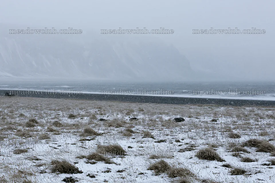 Snowy beach meadow with cliffs near the ocean on a winter day – meadow photos 9722x6480