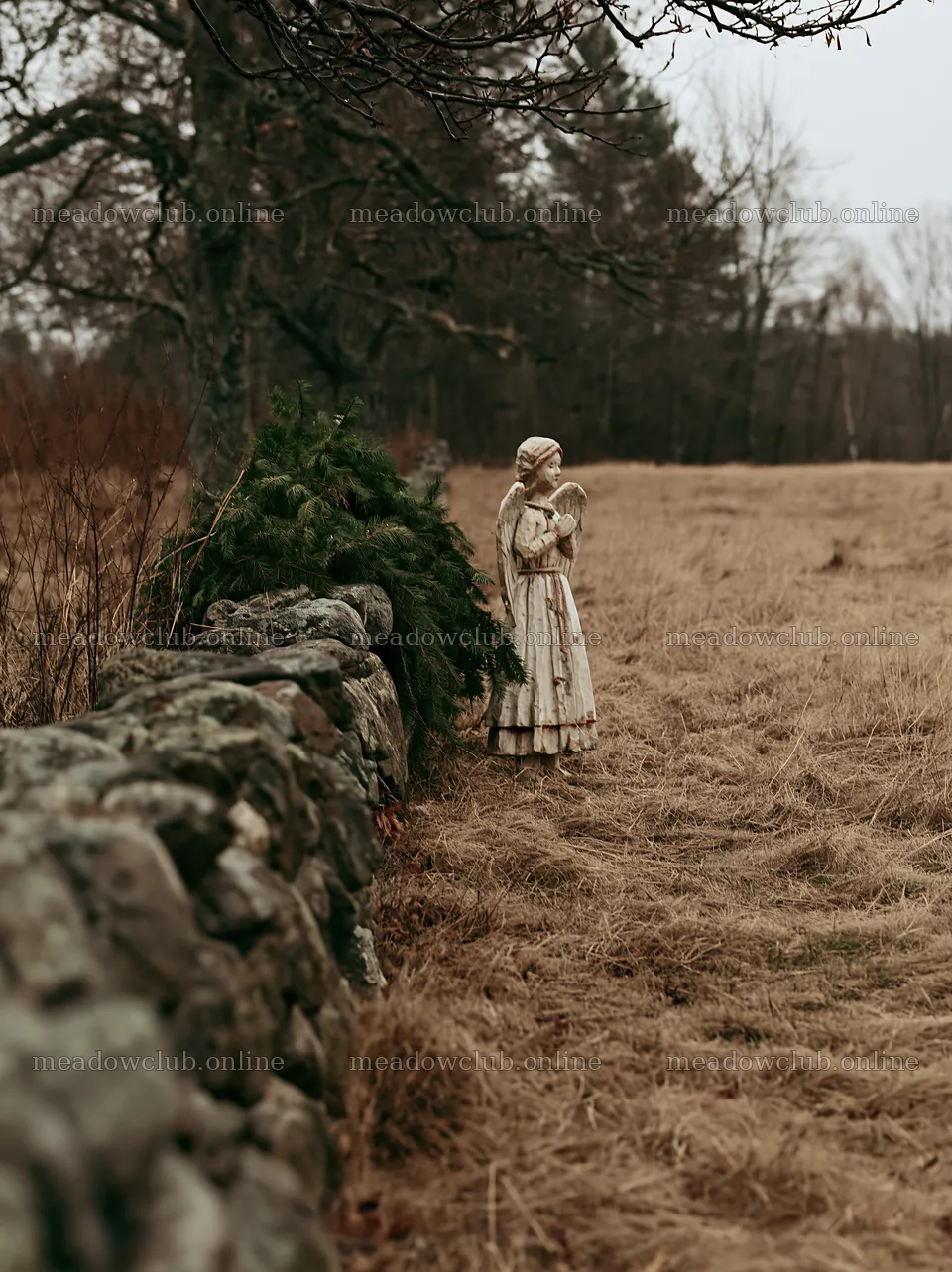 Christmas angel statue in meadow by stone wall – meadow photos 6866x9174