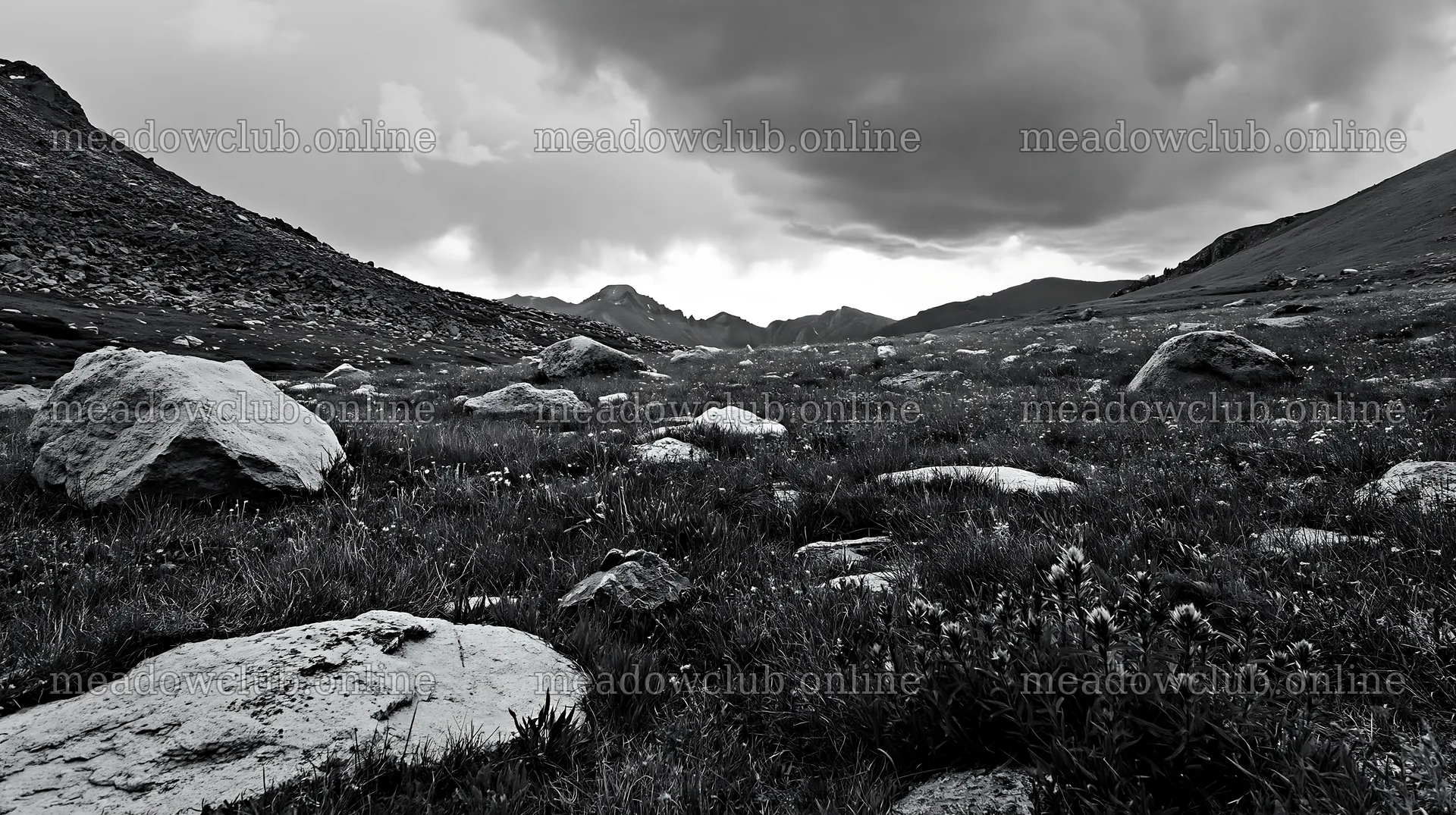 Boulders scattered in a meadow under cloudy skies – meadow photos 10608x5938