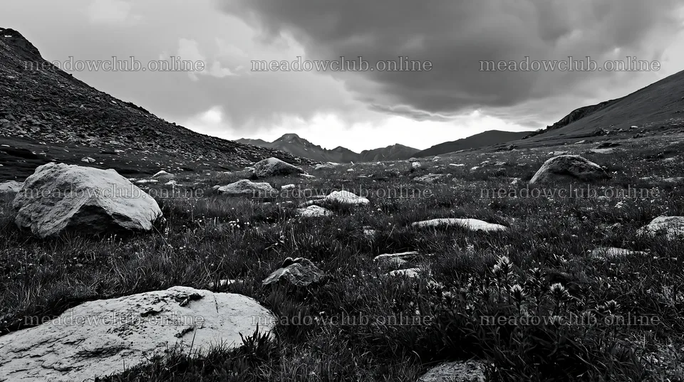 Boulders scattered in a meadow under cloudy skies – meadow photos 10608x5938