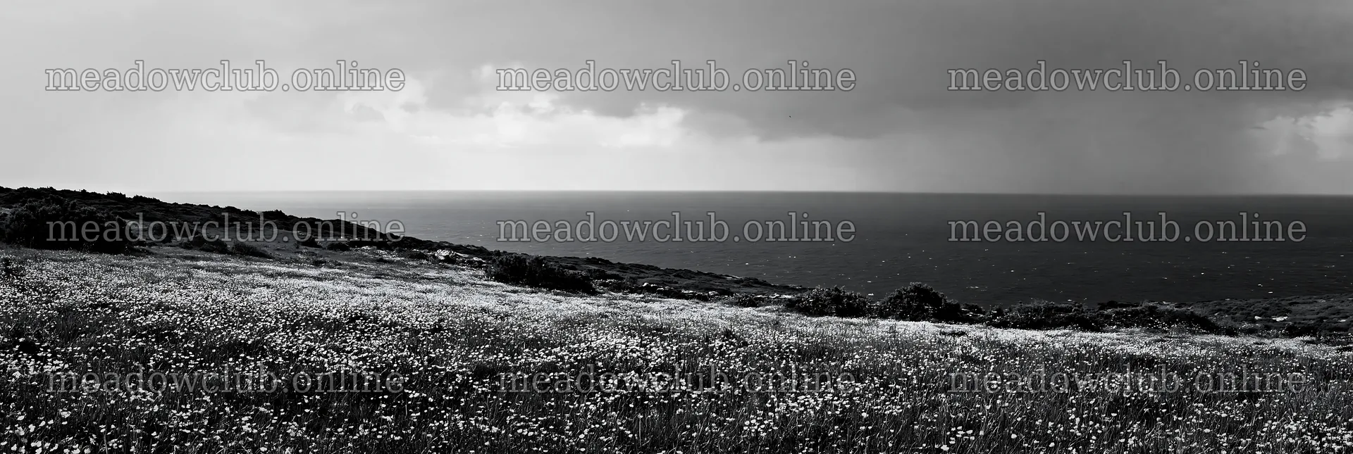 Portuguese meadow overlooking the Atlantic coast – meadow photos 13690x4602
