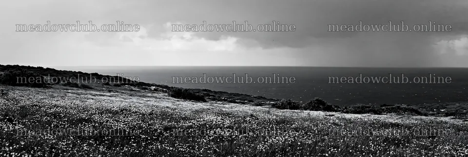 Portuguese meadow overlooking the Atlantic coast – meadow photos 13690x4602