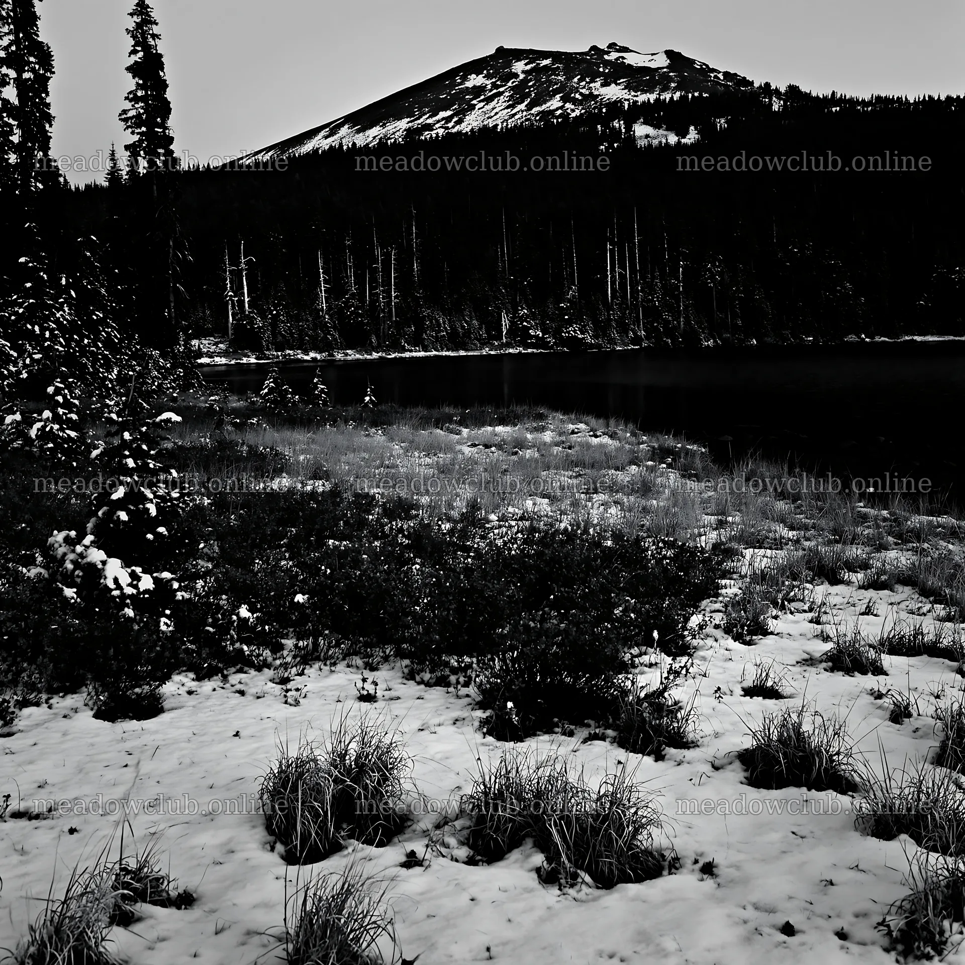 Lakeside meadow after first snowfall at the foot of a mountain – meadow photos 7938x7938