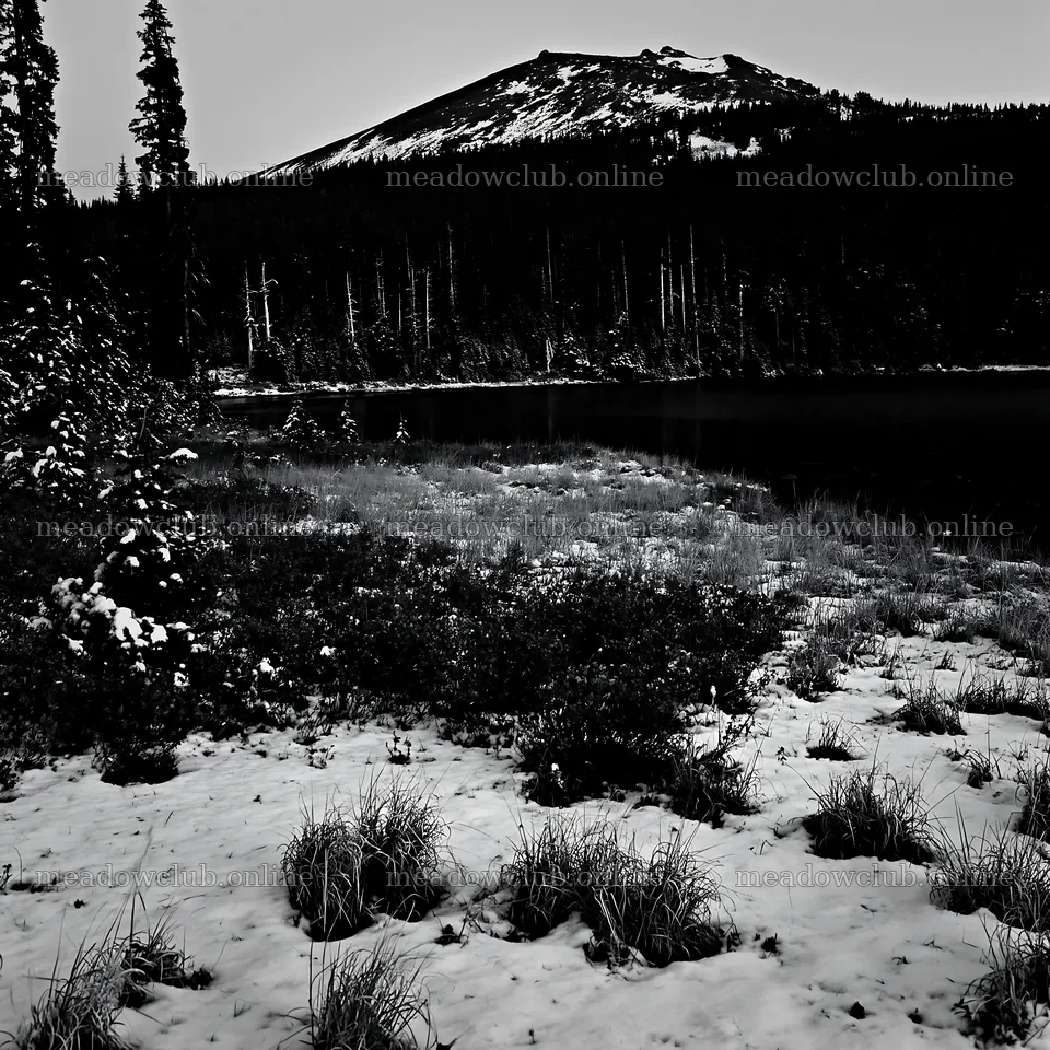 Lakeside meadow after first snowfall at the foot of a mountain – meadow photos 7938x7938